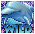 Dolphin Reef Spielautomat Wild